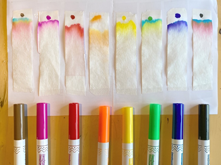 paper chromatography