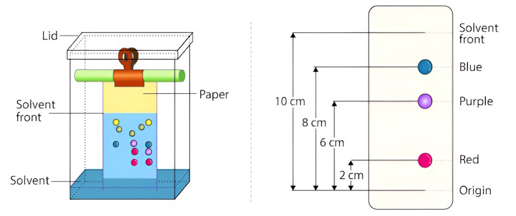 chromatography retention factor