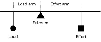 first order lever