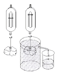 Setup for studying Archimedes principle.